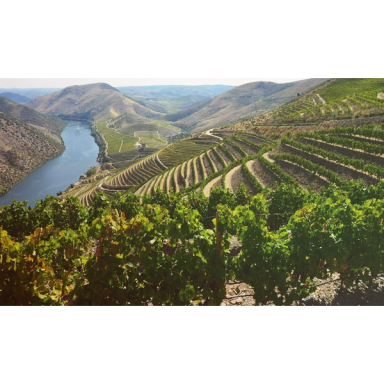 Sousa Lopes Loureiro Vinho Verde DOC 2023 0.75L