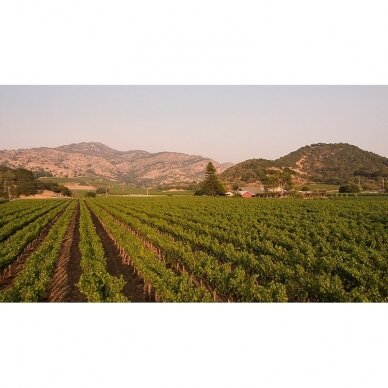 Stag's Leap Wine Cellars Cabernet Sauvignon “Slv” Napa Valley 2018 3