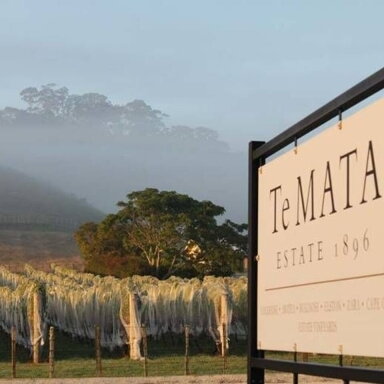 Te Mata Estate Vineyards Syrah  Hawkes Bay 2024