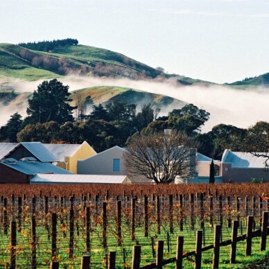 Te Mata Estate Vineyards Syrah Hawkes Bay 2024 2 Te Mata Estate Vineyards Syrah Hawkes Bay 2024 2