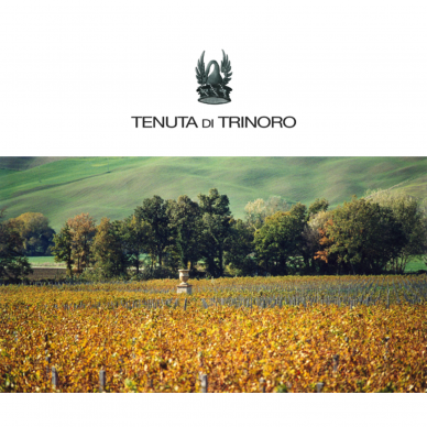 Tenuta di Trinoro Le Cupole Toscana IGT 2019 0,75L 4