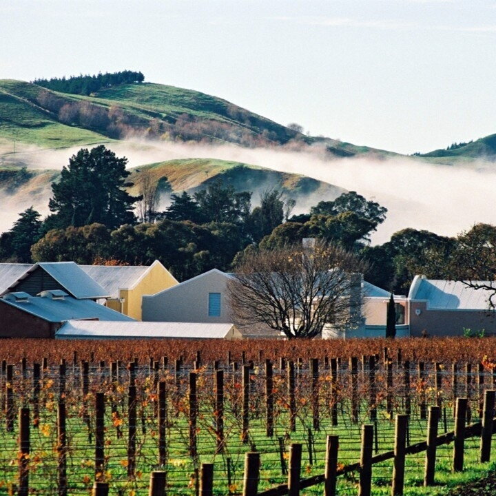 Te Mata Estate Vineyards Syrah  Hawkes Bay 2024 2