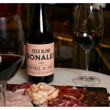 Vinas del Cenit Field Blend Bonales Tierra del Vino de Zamora DO 0.75L 2022